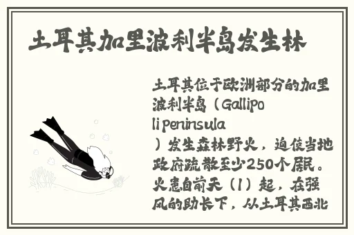 热心朝阳群众51cgfun51